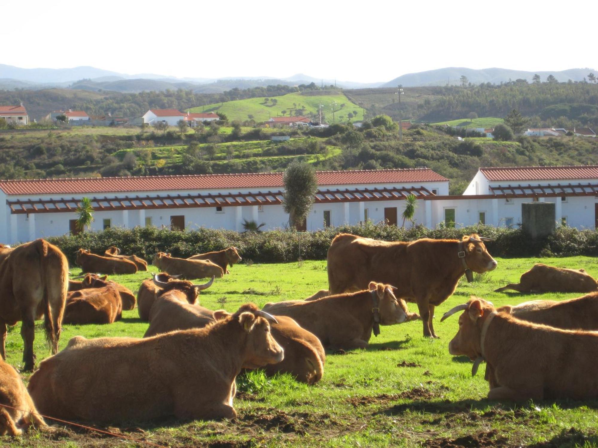 Appartamento Quinta De Moledos Aljezur Esterno foto